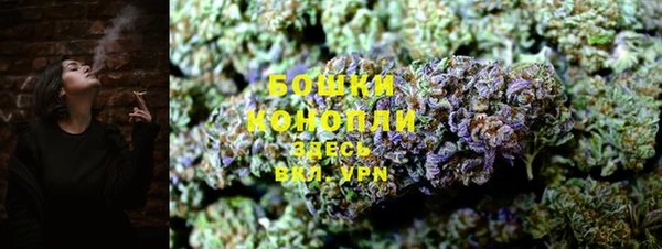 PSILOCYBIN Магас