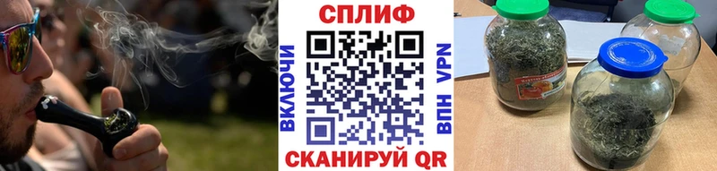 купить  цена  Афипский  ссылка на мегу онион  Каннабис семена 
